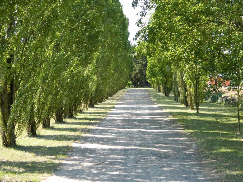 Gite De Cray Lussault-sur-Loire Esterno foto